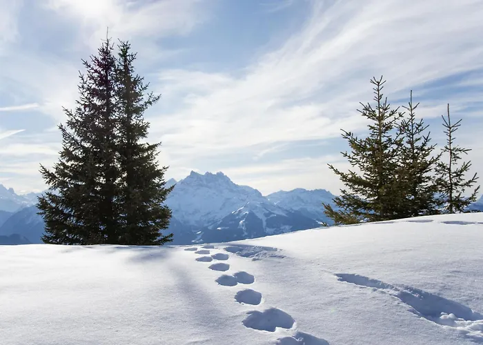 Les Bruyeres 25 By Interhome Apartament