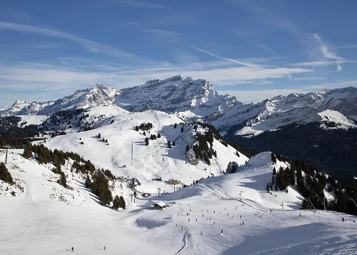 Les Bruyeres 25 By Interhome Lejlighed *