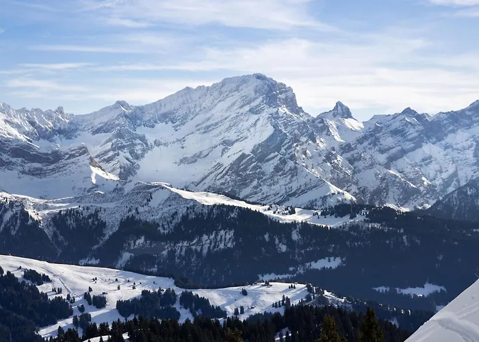 Les Bruyeres 25 By Interhome Apartament Chesières